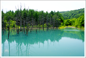 青い池